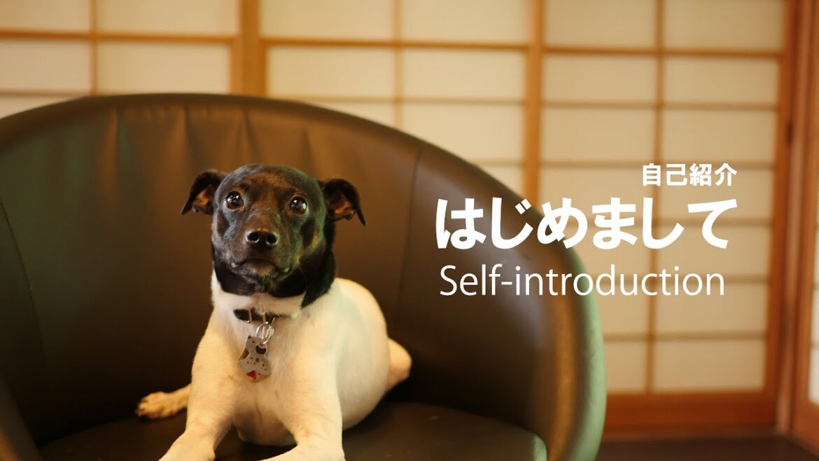 Living with HAKU~ハクとの暮らし〜のチャンネルについて Living with HAKU~ハクとの暮らし〜のチャンネルについて