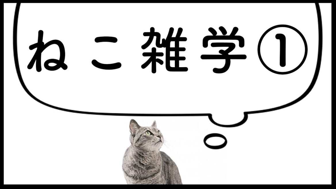 ねこ雑学①