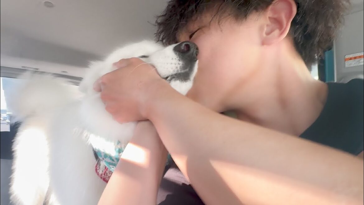 2週間ぶりにパパと再開して嬉しさが爆発する犬がかわいすぎました！