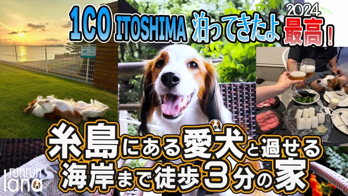 #119　糸島にある愛犬と過ごせる完璧な一軒家が最高過ぎて来た瞬間から帰りたくない！コーイケルホンディエ