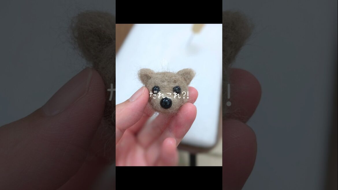 愛犬ポメラニアンの抜け毛でちびポメを作る!! #shorts 愛犬ポメラニアンの抜け毛でちびポメを作る!! #shorts