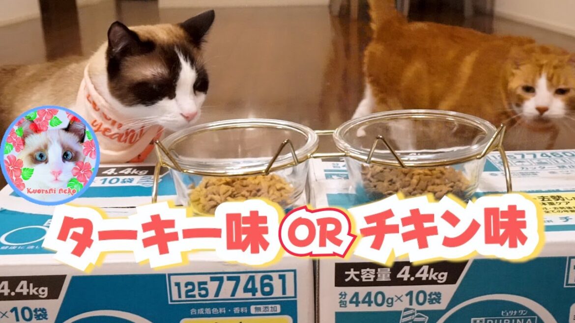 ピュリナワン 避妊・去勢した猫の体重ケアのチキンかターキーか食べ比べ Taste Comparison