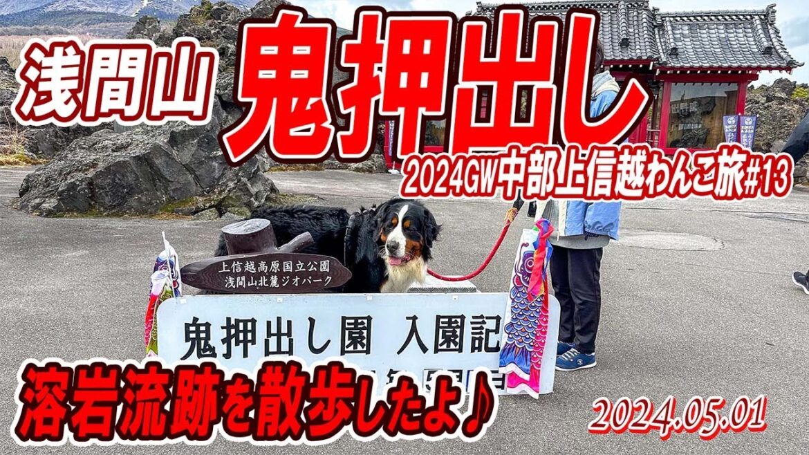 ゴツゴツの溶岩流跡、鬼押出しを見学、散歩したよ/中部上信越わんこ旅(その13)/2024GW#13/大型犬散歩 ゴツゴツの溶岩流跡、鬼押出しを見学、散歩したよ/中部上信越わんこ旅(その13)/2024GW#13/大型犬散歩