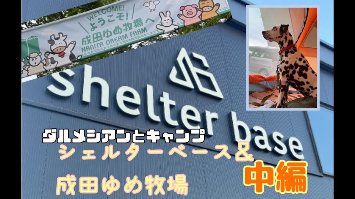 【ダルメシアンと】SHELTER BASEで姉妹キャンプ！【中編】