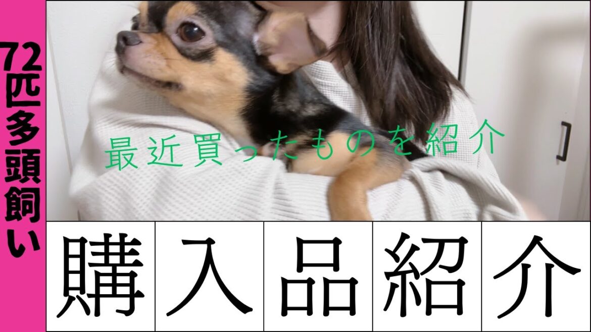 【購入品紹介】72匹多頭飼い最近の購入品紹介! 【購入品紹介】72匹多頭飼い最近の購入品紹介!