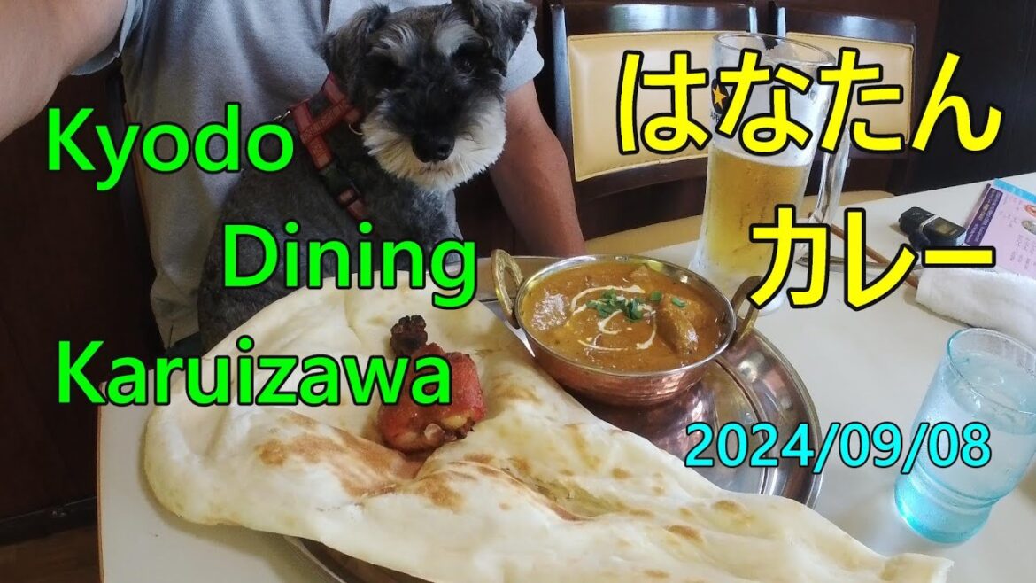 軽井沢 Kyodo Dining、ワンちゃん店内OK