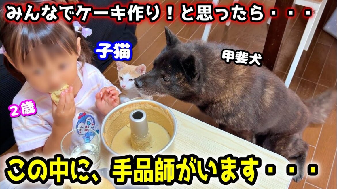 【幸せな空間】まったりケーキ作り!と思ったらこうなりました・・・ 【幸せな空間】まったりケーキ作り!と思ったらこうなりました・・・