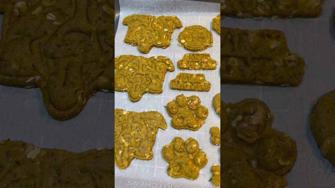 How to Make Adorable Dog Cookies for Your Pup’s Birthday! 🐶 #dogtreats #dogfood #doglover #cookies
