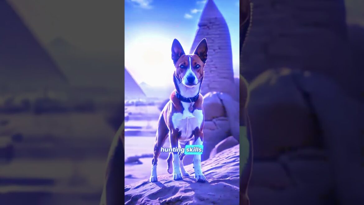 5 Legendary Dog Breeds of Ancient Egypt 🤯🤯
