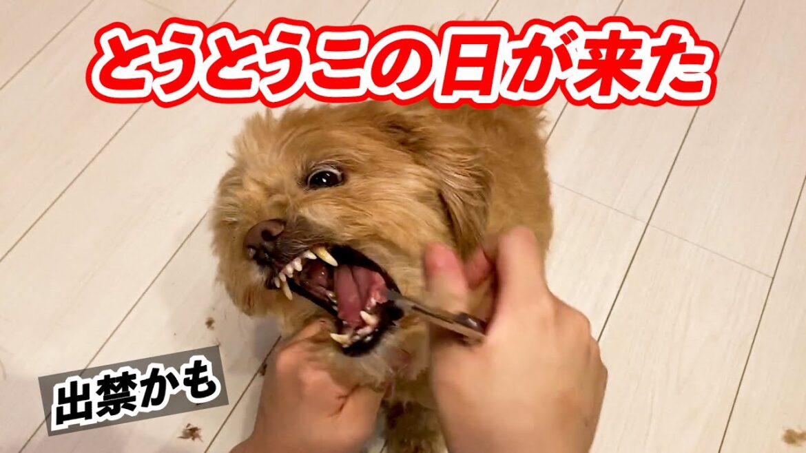 今回は無理そうですとの連絡がきたが今度は行けないだろうな
