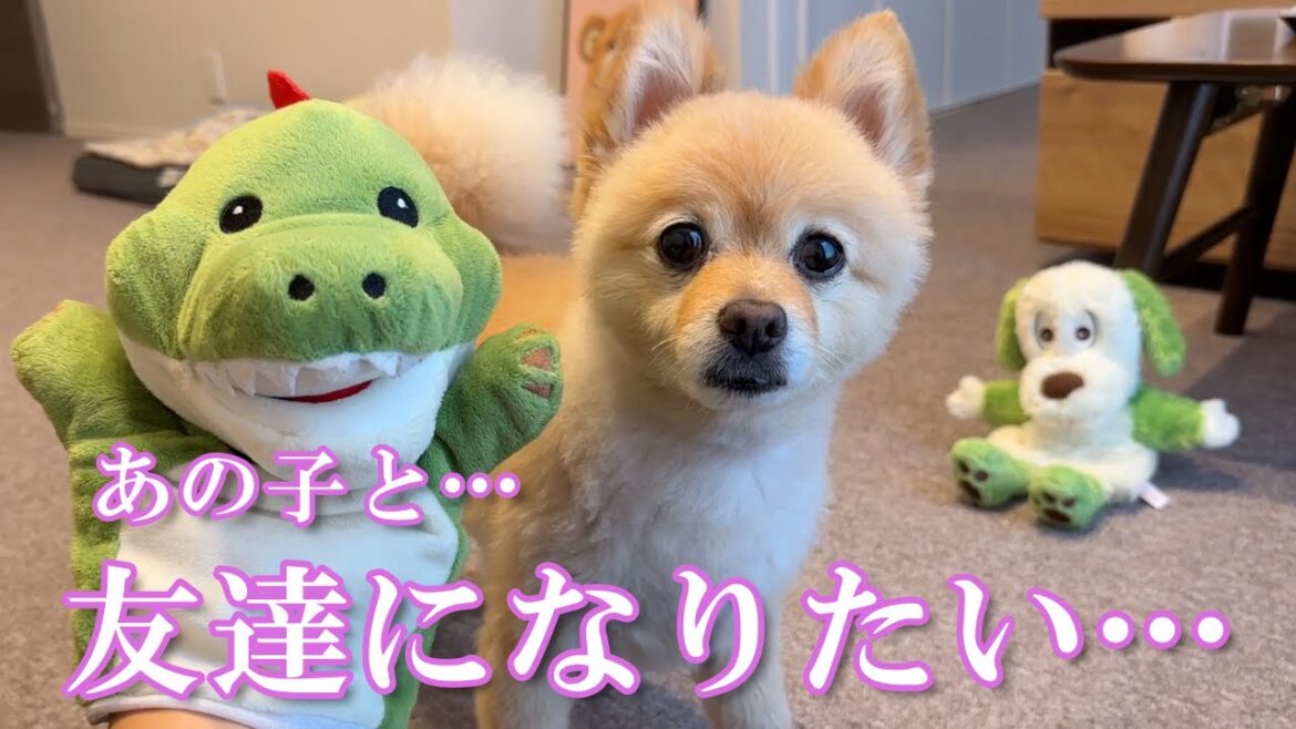 【朗報】素敵な出会いがありました！