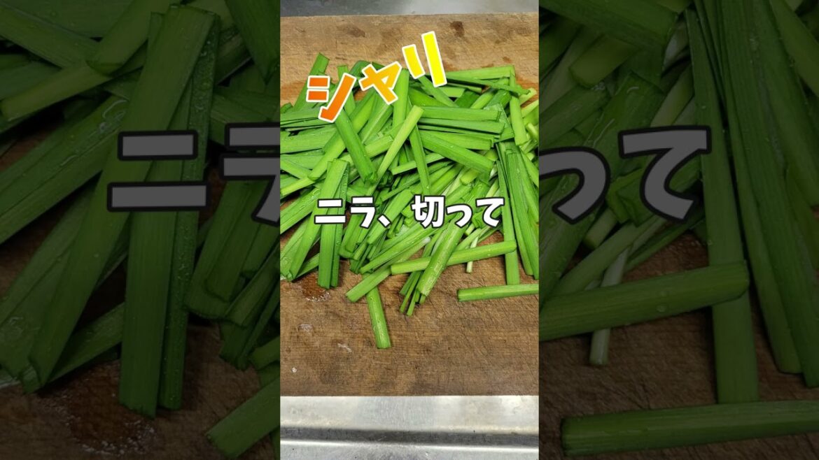 【モツ鍋】北海屋の牛モツ、うまい #ジャックラッセルテリア🐶 #shorts 【モツ鍋】北海屋の牛モツ、うまい #ジャックラッセルテリア🐶 #shorts