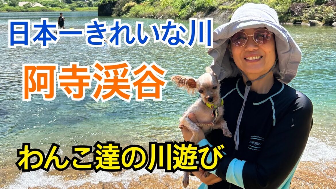 日本一きれいな川、阿寺渓谷で川遊びしたよ〜