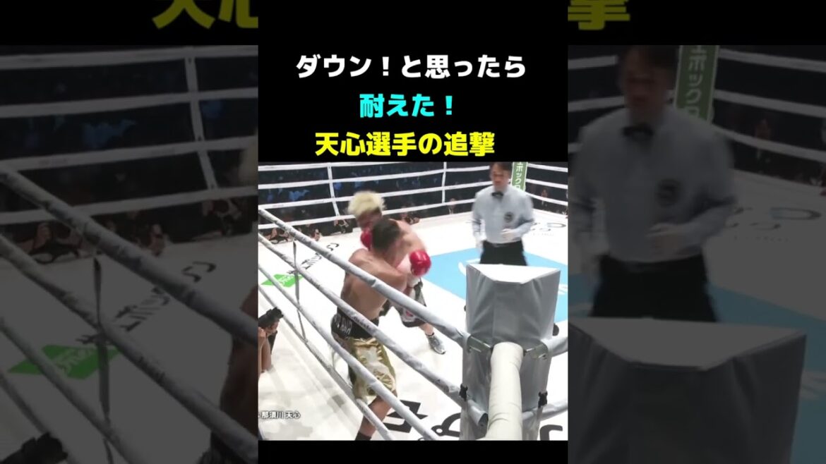 那須川天心選手ダウン寸前のジョナサンロドリゲス選手にラッシュ #ボクシング#shorts