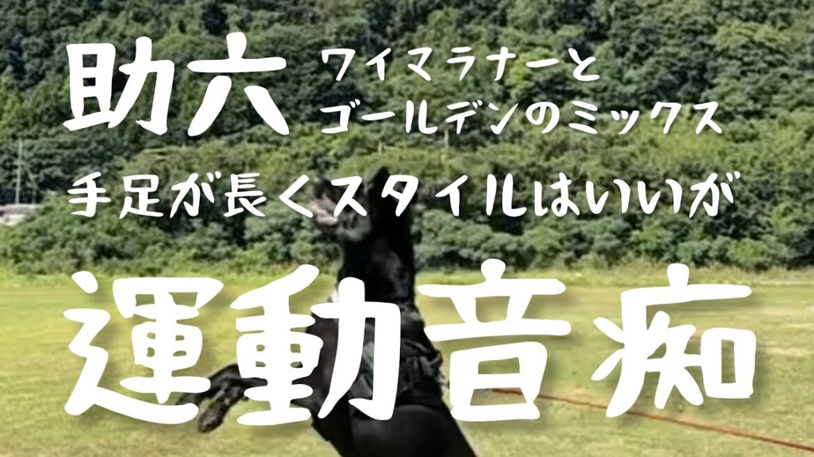 遊びすぎた奴ら…！コレが体調不良の原因かもしれない
