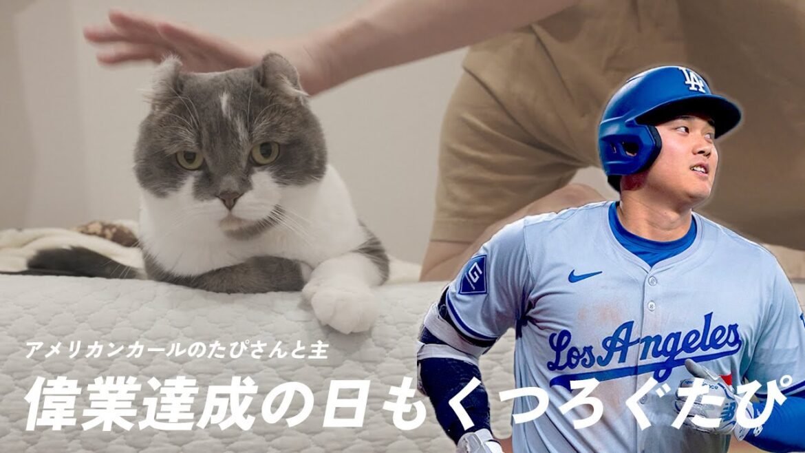 大谷翔平選手の50-50の日のたぴ