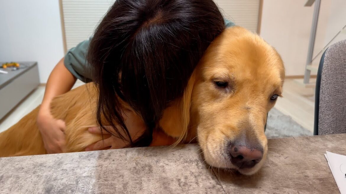 ママに抱きしめられながら、他のことに気がいってしまう愛犬がけしからん