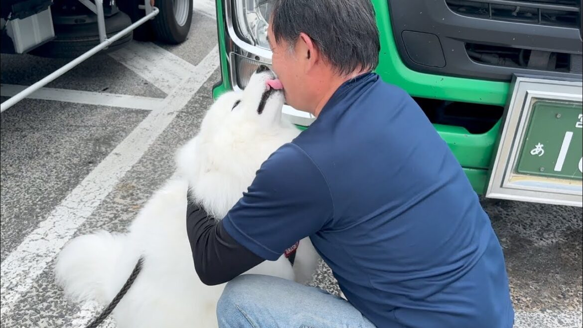 いるはずのない大好きなじいじが突然現れたときの犬の反応がかわいすぎました！！