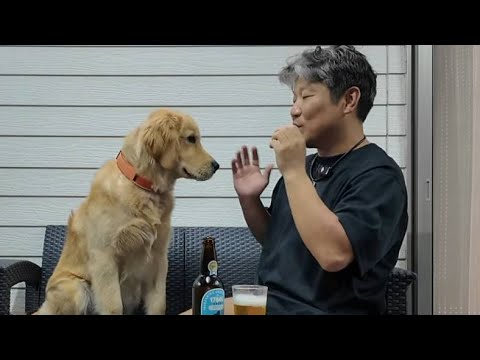 大切なのは協力ではなく応援!能力を伸ばしてあげる重要性。【Golden Retriever japan】 大切なのは協力ではなく応援!能力を伸ばしてあげる重要性。【Golden Retriever japan】