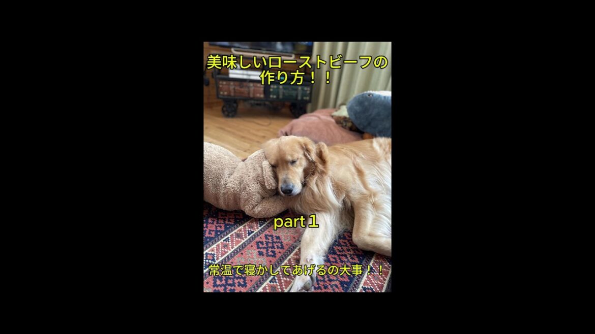 [ゴールデンレトリバー#606 ]番外編！　我が家のローストビーフの作り方！！