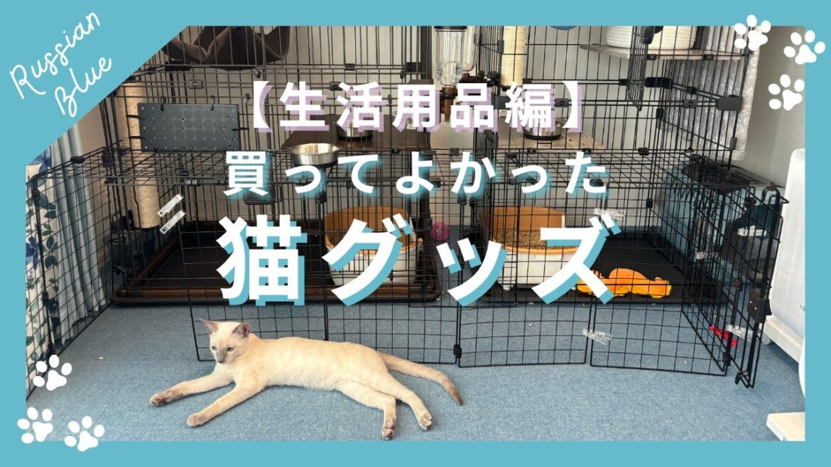 猫飼いさん必見!本当に買ってよかった猫グッズ【日用品編】 猫飼いさん必見!本当に買ってよかった猫グッズ【日用品編】