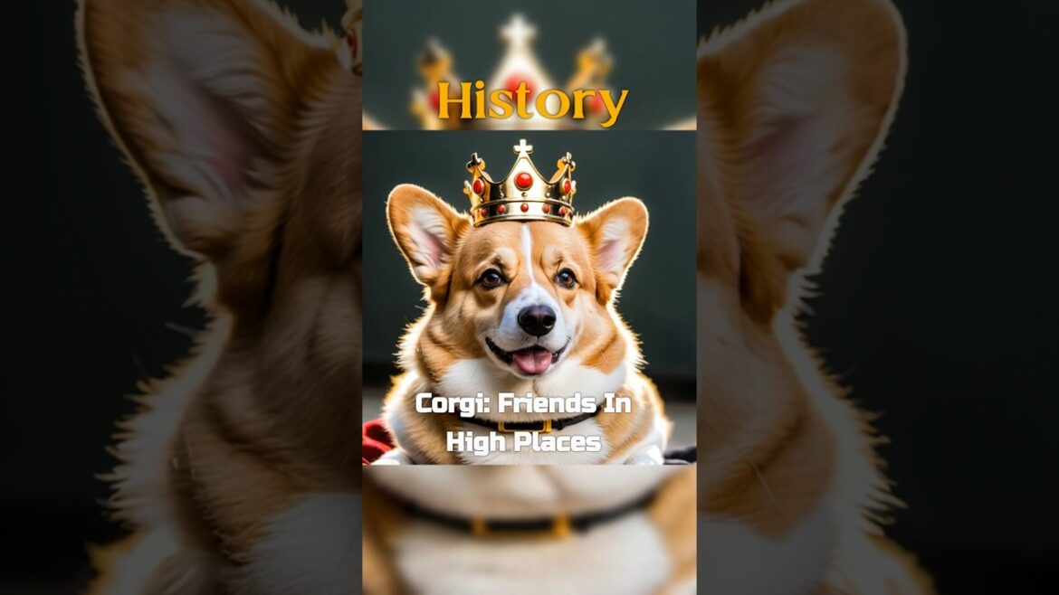 History of Corgis | DoggoSitter | #dogbreed #doglover