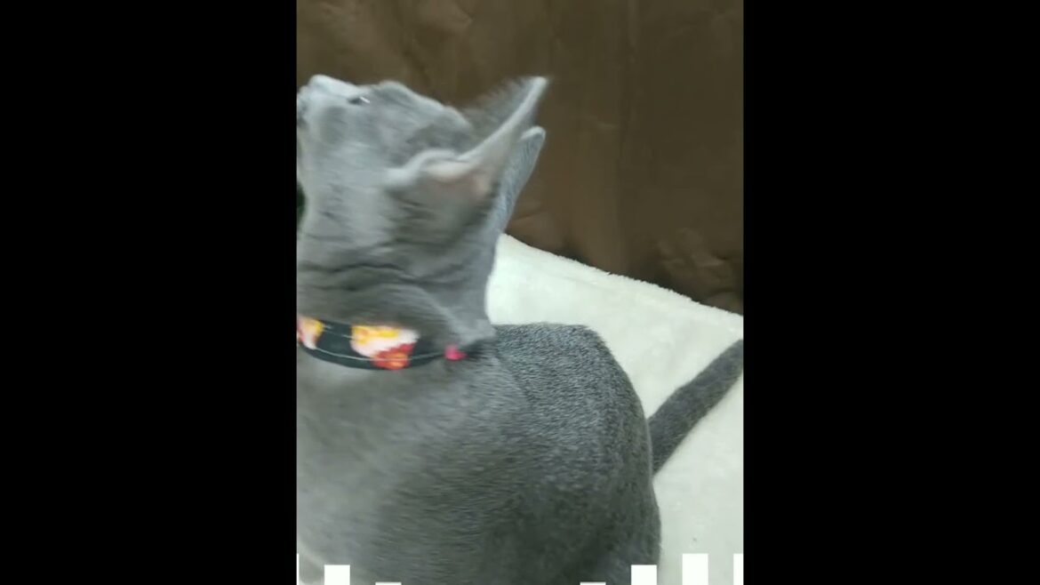 9月20日撮影 9月20日撮影