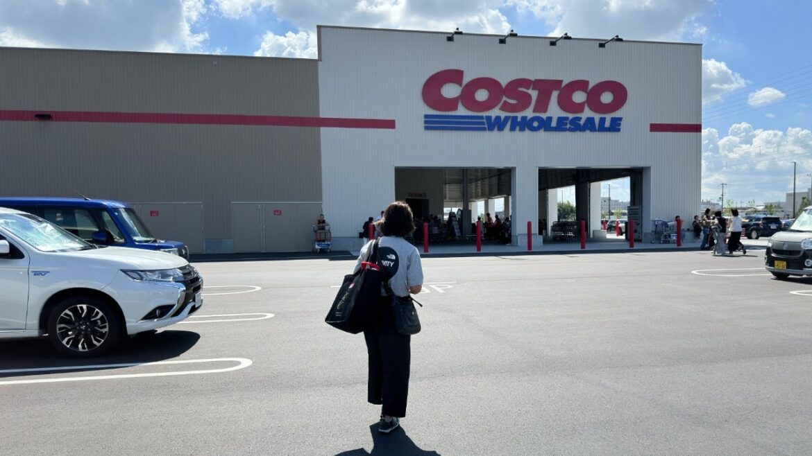 ベッドを買って、買い出しなど、散財しました [だいたい週刊VLOG] [Week 37 of 2024] コイケルホンディエのテラとノヴァスコシアダックトーリングレトリバーのピコとの暮らし