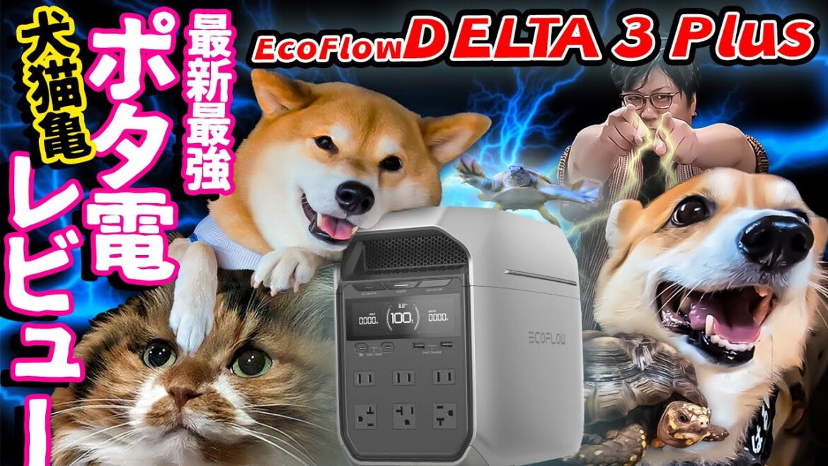 アテレコ全開レビュー！憧れのEcoFlow DELTA 3 Plusがやってきた！