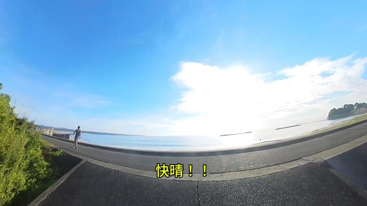 [ゴールデンレトリバー#611 ]いい天気！！