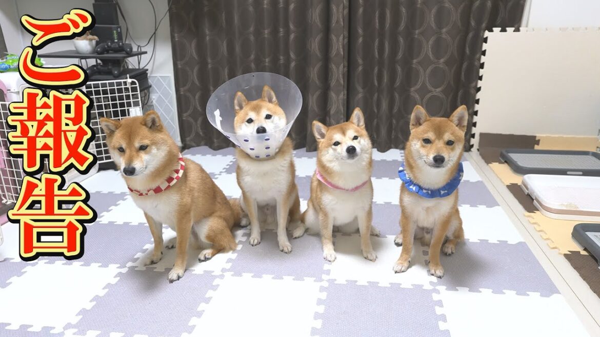 お伝えしたいことがあります