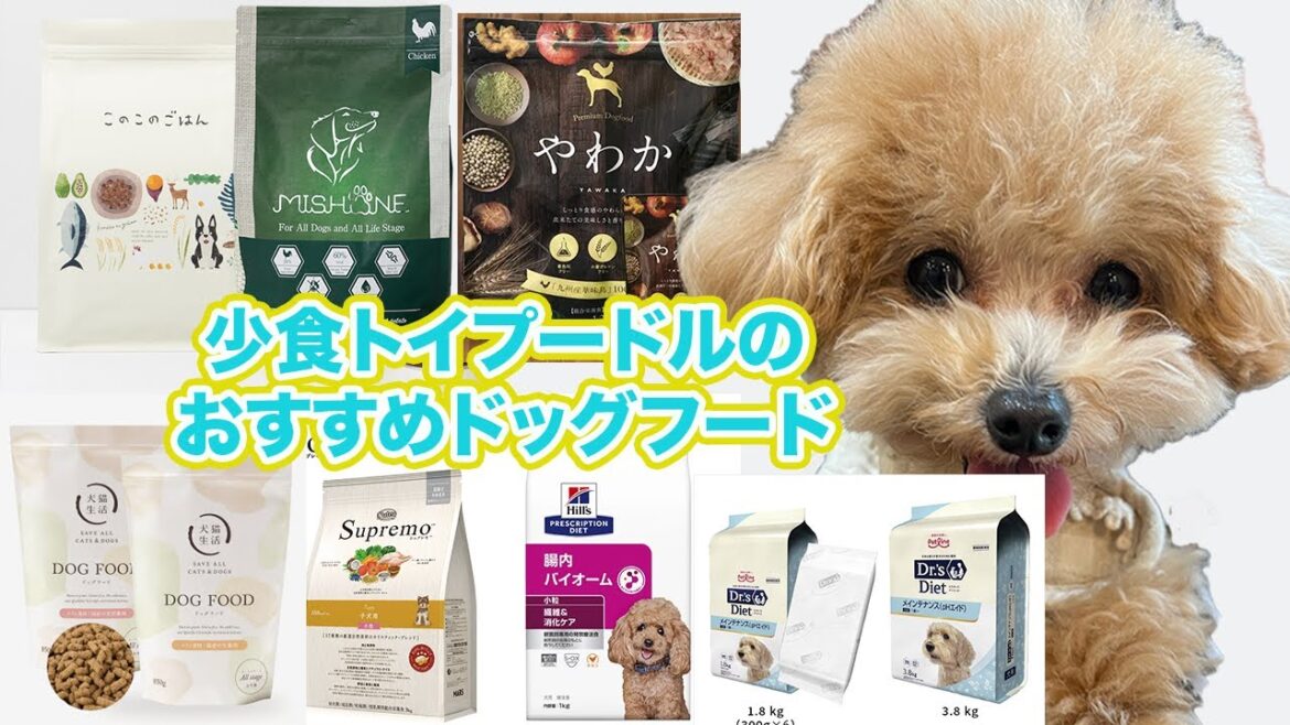 ドッグフード比較【少食トイプードルおすすめ!】 ドッグフード比較【少食トイプードルおすすめ!】