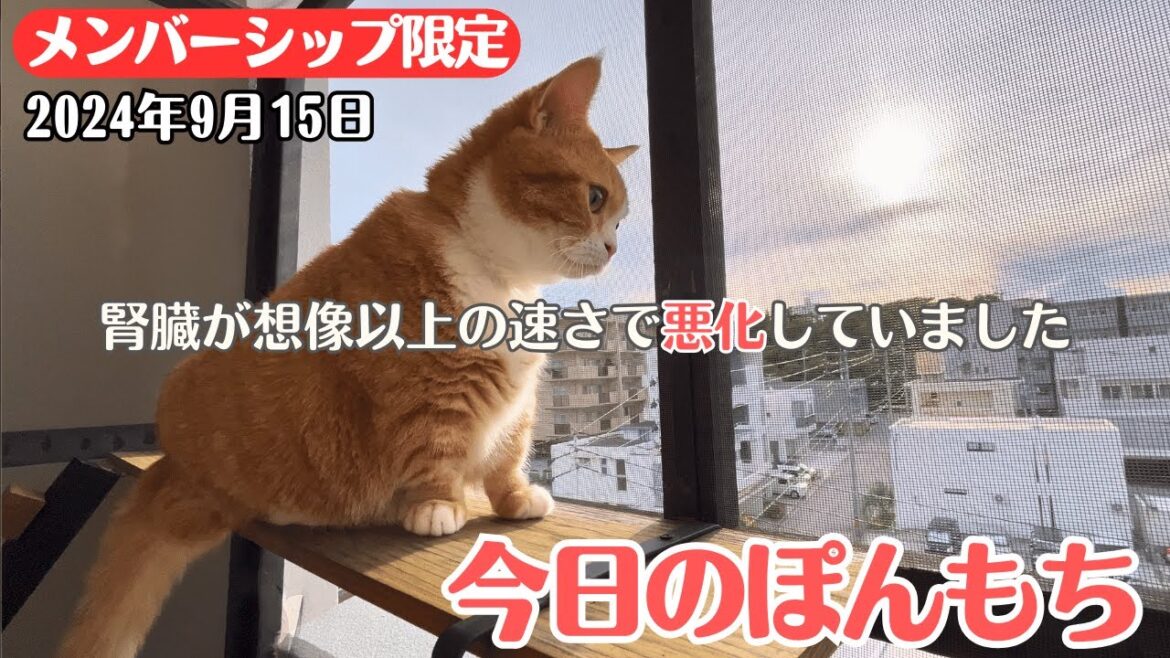 【特別公開】この動画は9月15日にメンバー限定で公開した動画です! 【特別公開】この動画は9月15日にメンバー限定で公開した動画です!