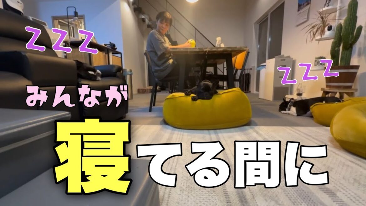 【チャレンジ！】6兄弟の寝てる間に気づかれずに梨がむけるか⁈
