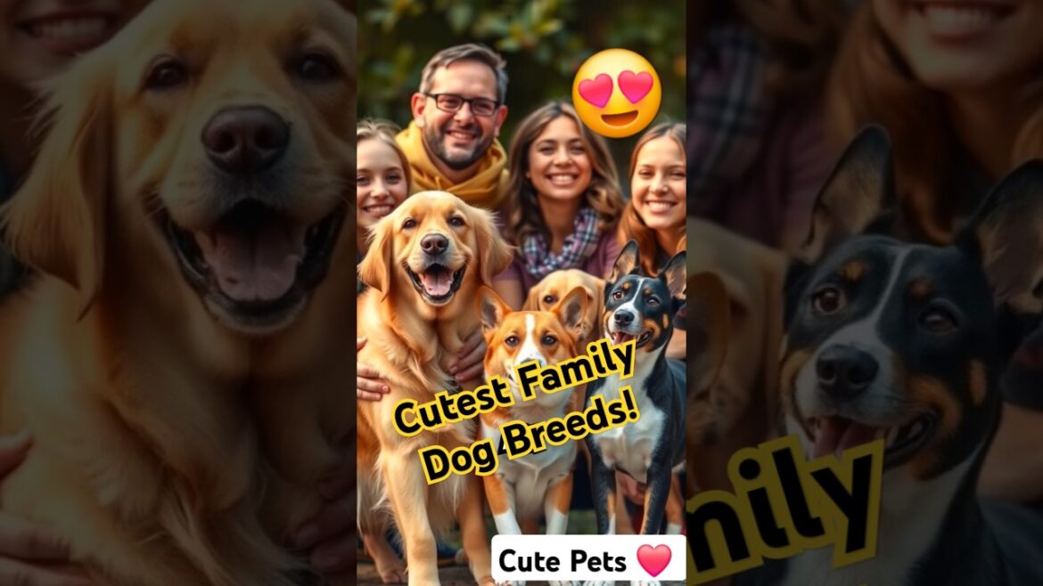 Family Matters: How to Choose a Pet That Fits Your Lifestyle! #shorts #trending #cutedog #dogsbreed