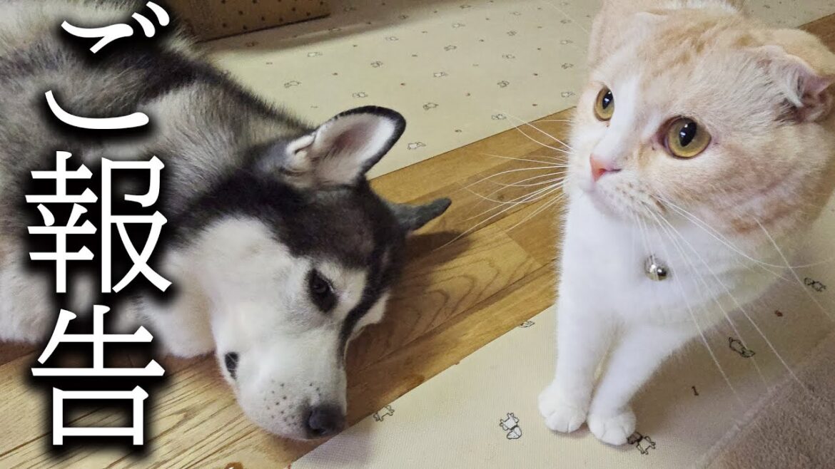 【ご報告】病状について...