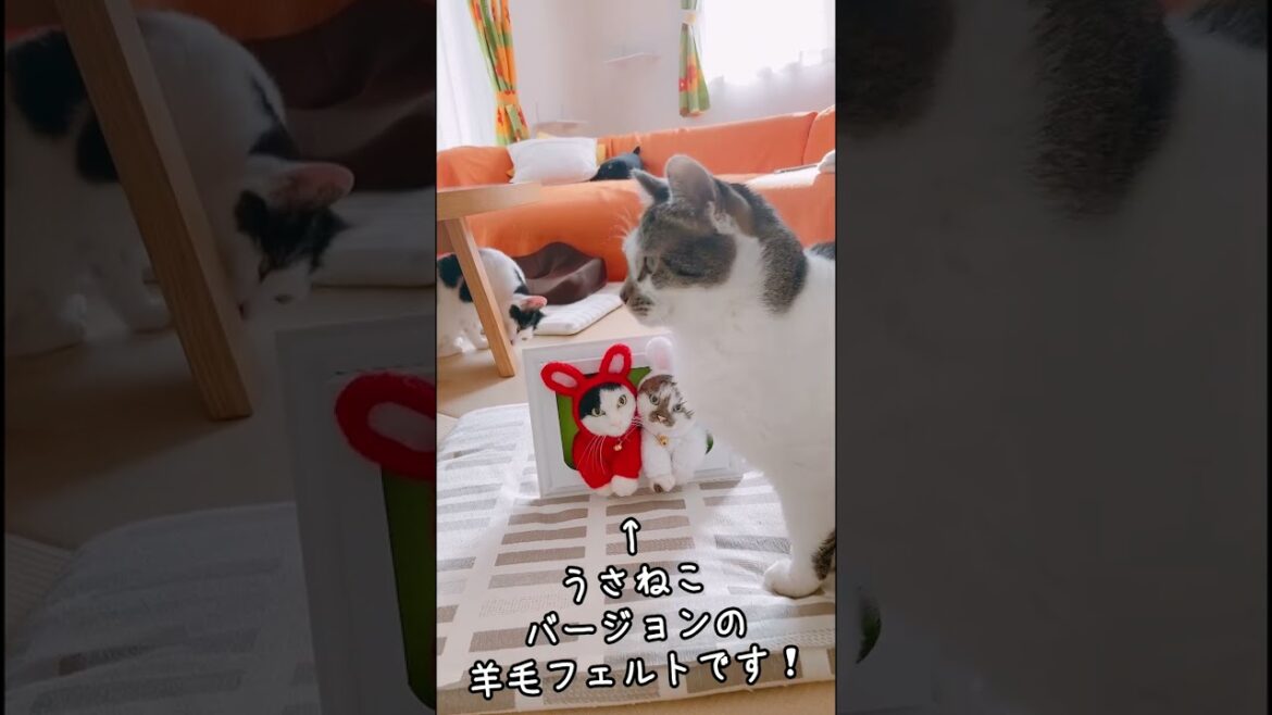 プレゼントいただきました #shorts