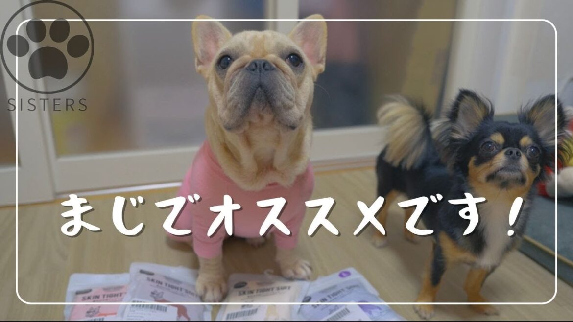 【購入品紹介】大好きなマンダリンブラザーズの服爆買いしました🎵 【購入品紹介】大好きなマンダリンブラザーズの服爆買いしました🎵