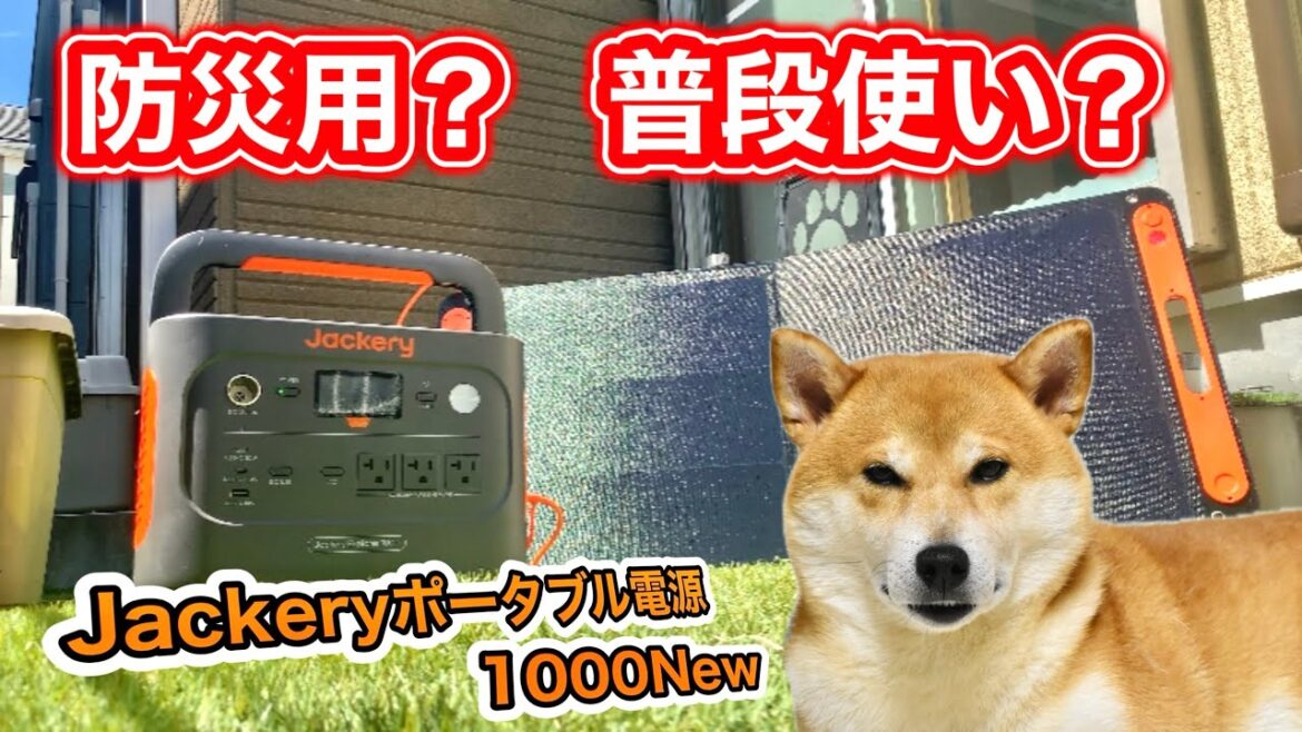 Jackeryポータブル電源1000NEWを柴犬こむぎとご紹介【ペットの災害対策】