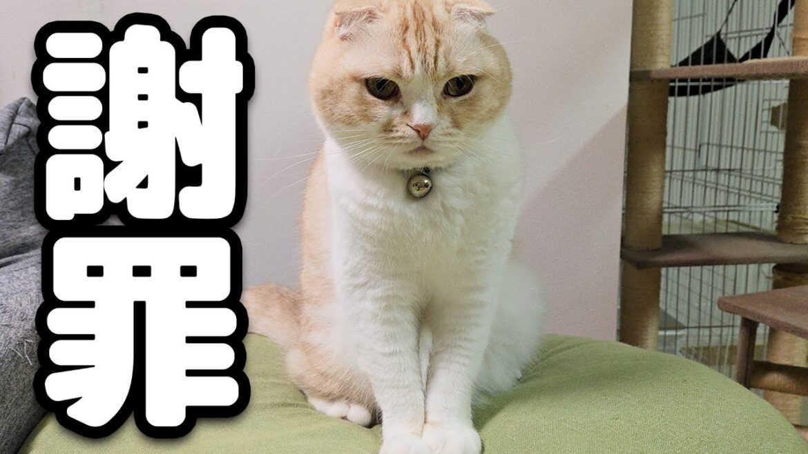 皆様にお詫びしないといけない事があります… 皆様にお詫びしないといけない事があります...