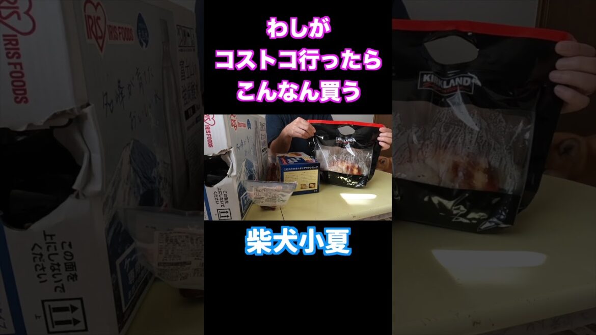 わしがコストコ行ったらこんなん買う #shiba #柴犬 #神戸 #癒し