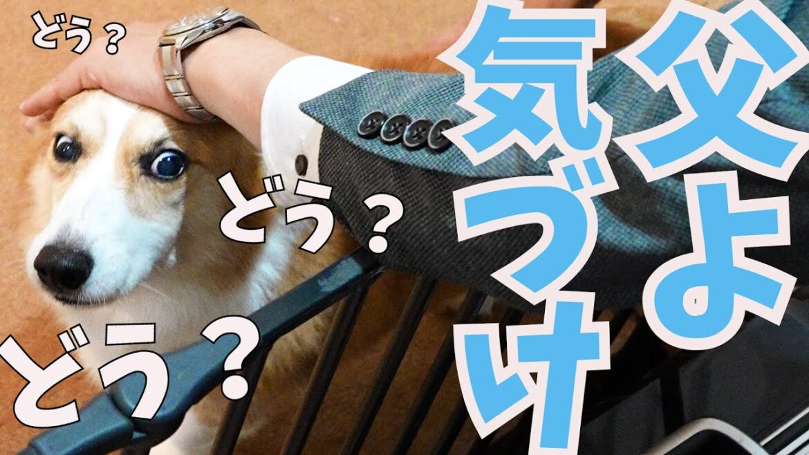 【検証】愛犬の些細な変化に父は気づくのか？！