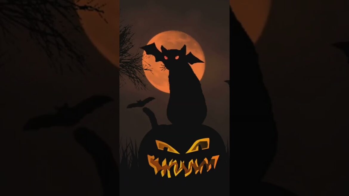 The Truth About Cats and Halloween Superstitions ๐พ๐ #Cats #Halloween #Myths #Cat #Love #Facts The Truth About Cats and Halloween Superstitions ๐พ๐ #Cats #Halloween #Myths #Cat #Love #Facts