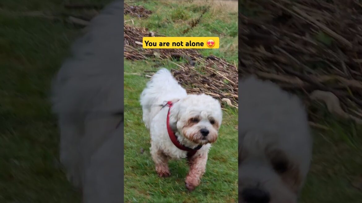 You are not alone  ๐ You are not alone  ๐