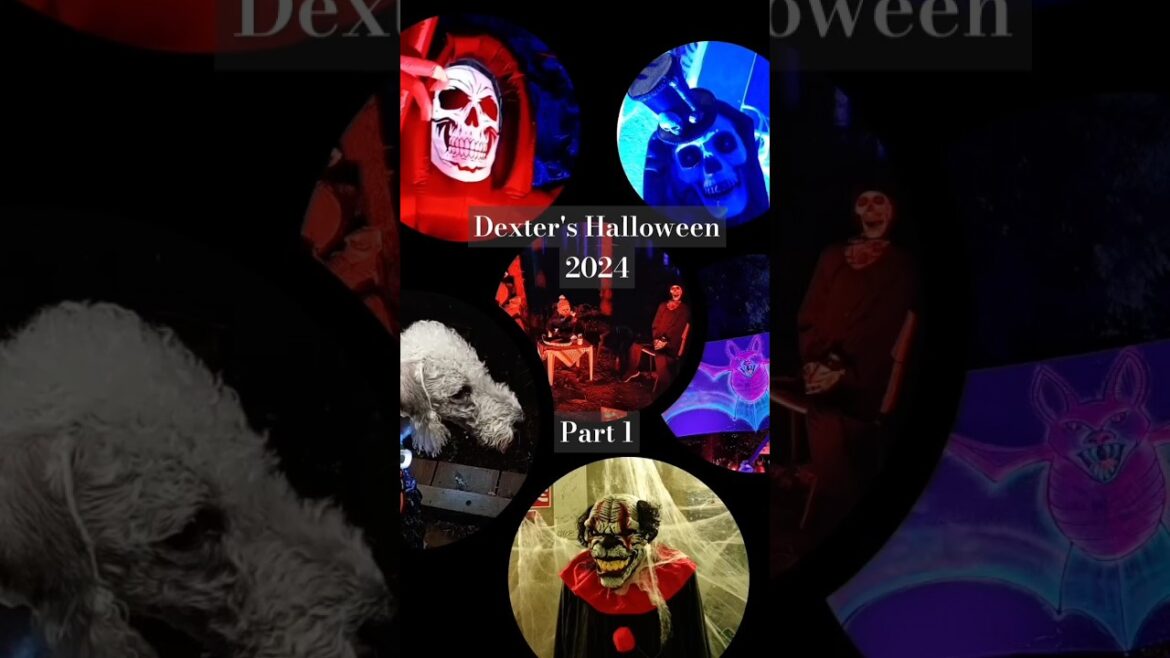 Dexter's Halloween 2024 - Part 1 🎃👻 #shorts