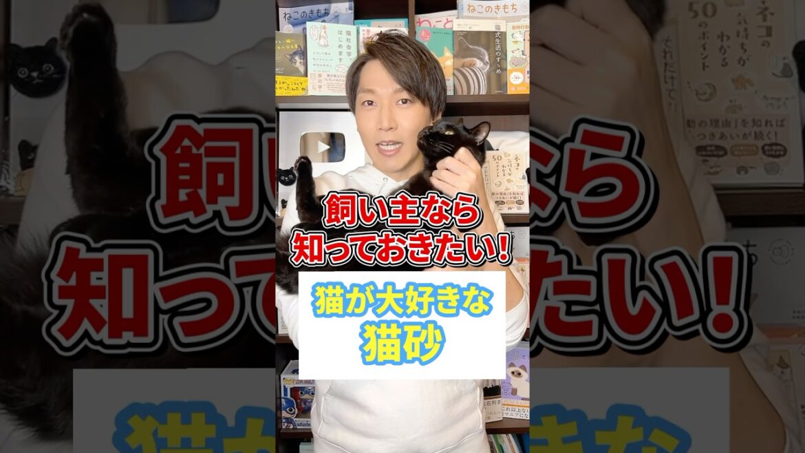 飼い主なら知っておきたい！猫が大好きな猫砂 #猫 #猫のいる暮らし #ねこ