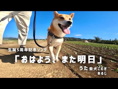 PV「おはよう、また明日」 歌 柴犬こむぎ&あるじ PV「おはよう、また明日」 歌 柴犬こむぎ&あるじ