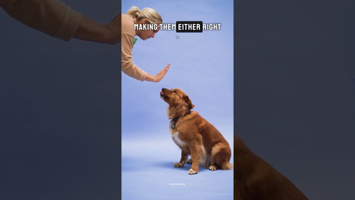 “Amazing Dog Facts: Strength, Communication, and Scent Superpowers!” l eco essence l vii “Amazing Dog Facts: Strength, Communication, and Scent Superpowers!” l eco essence l vii