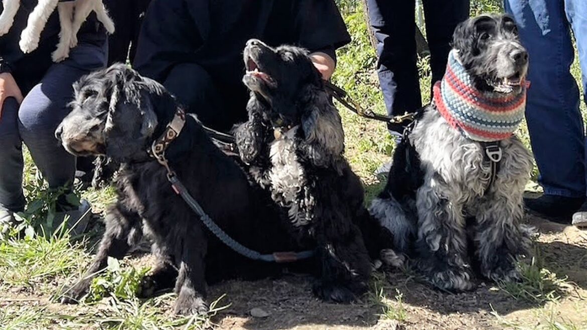 #44　四角い空に馳せた夢【倉之助】