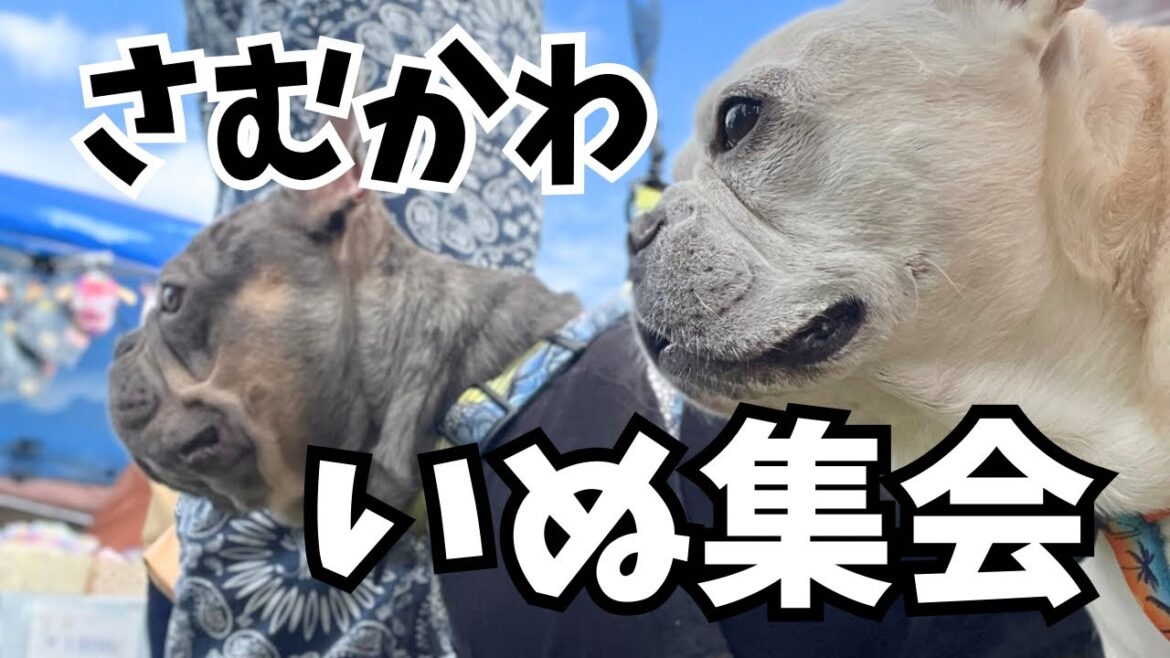 バズってる弟、喋りません!ww いつも寝ている兄、起きてます!ww バズってる弟、喋りません!ww いつも寝ている兄、起きてます!ww